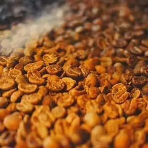 Half roasted coffee