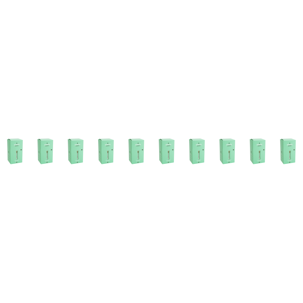 Royal T Stick Marokkaanse Munt - thee - 10 x 30 stuks afbeelding
