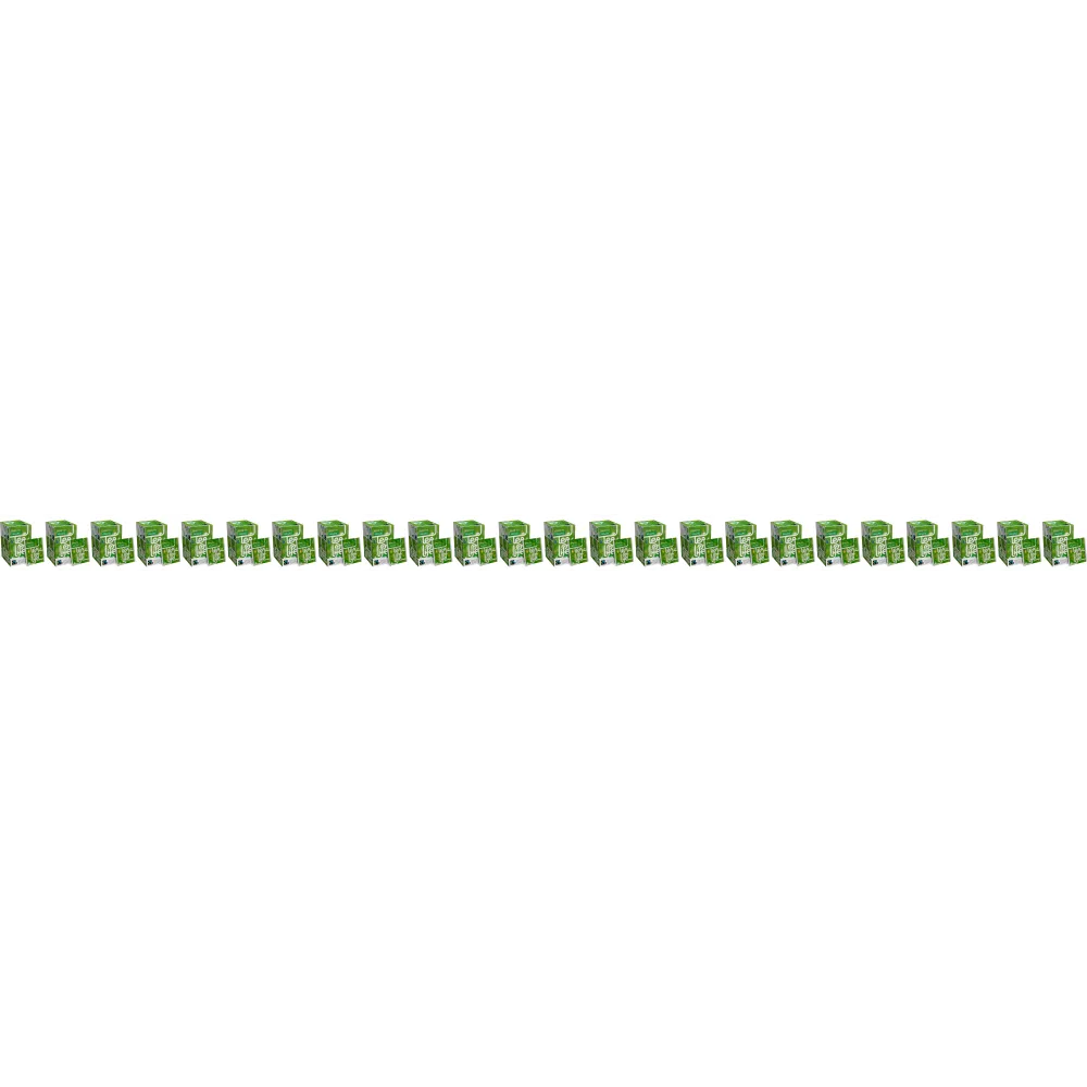 Green Tea - Biologisch & Fairtrade - 24 x Tea of Life - 25 theezakjes