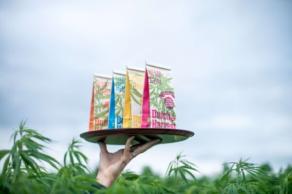 Sleepy Hemp - Hennep & Kruidenmix thee 40 gram - Dutch Harvest losse thee