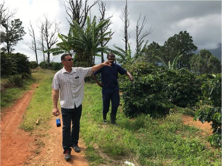 Jamaican Blue Mountain №1 - Verse koffiebonen - 100 g